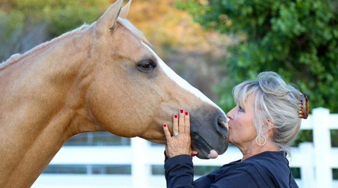 Enjoy the Journey to a Happy Horse