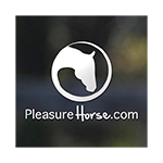Pleasure Horse