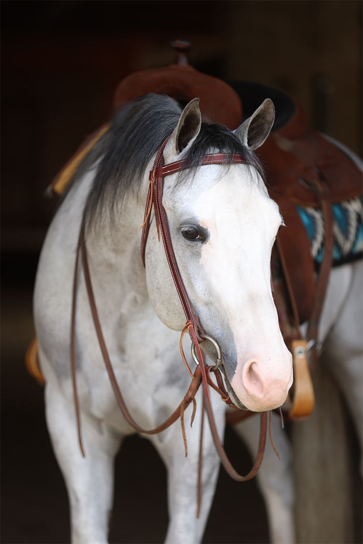 stetson