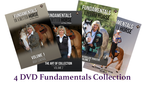 Fundamentals collection